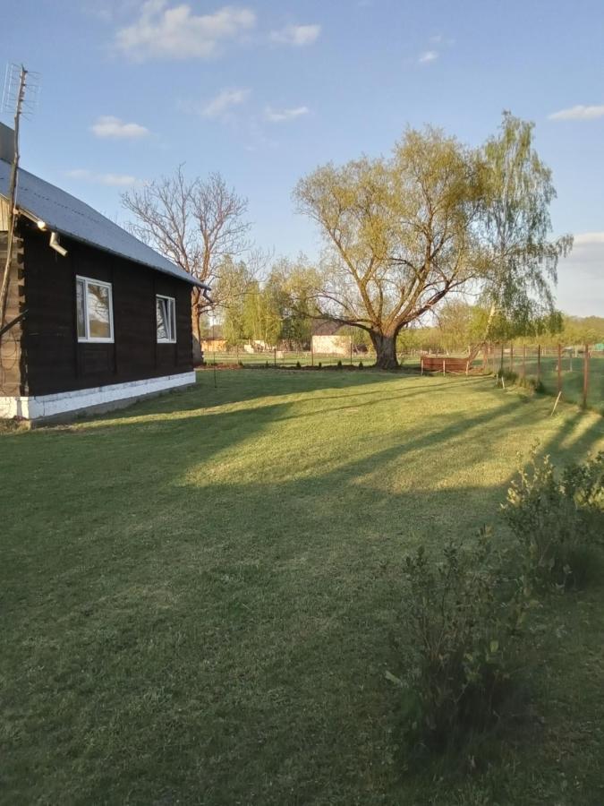 Domek U Kazi Sadowne 外观 照片